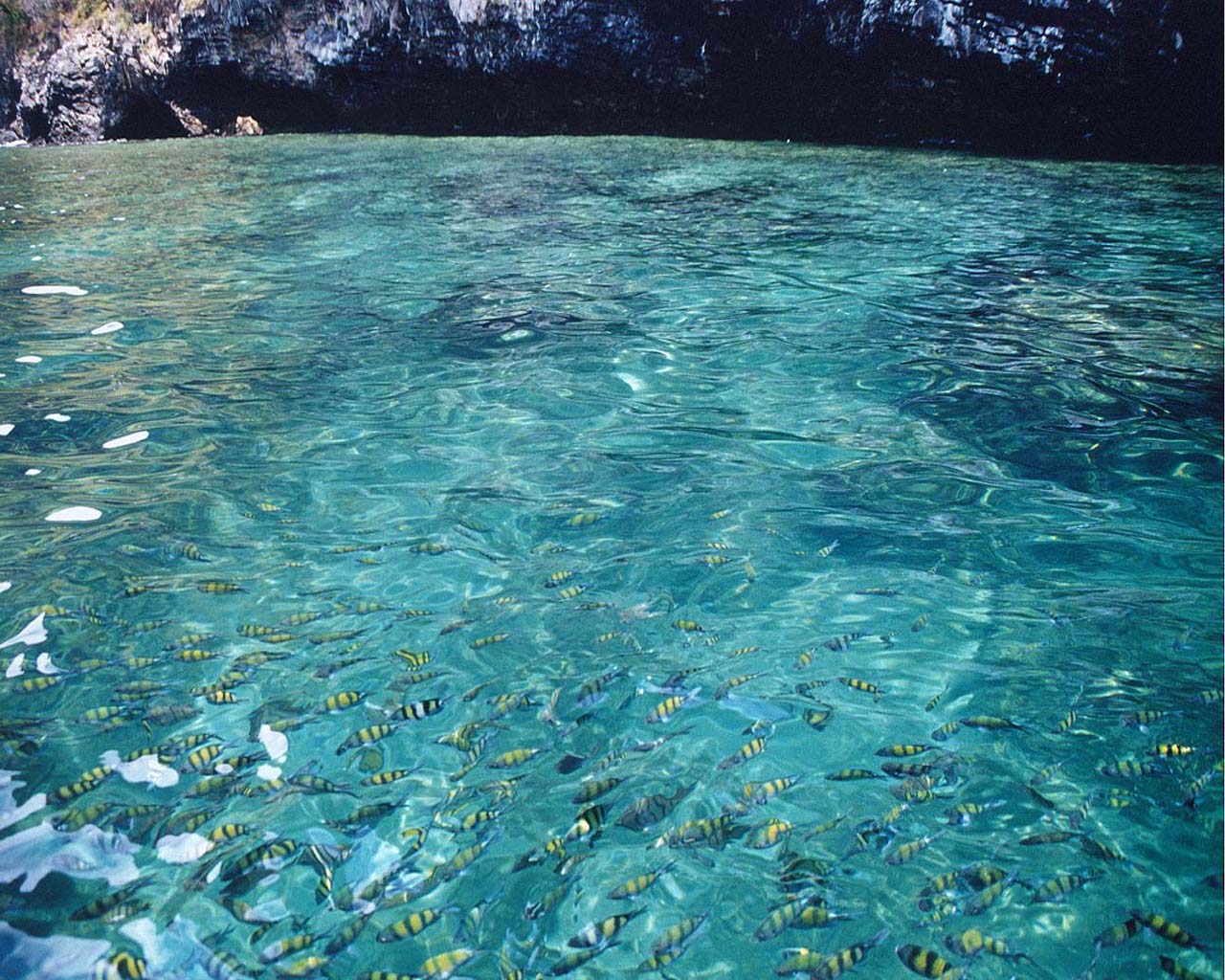 desktop wallpaper picture of beaches