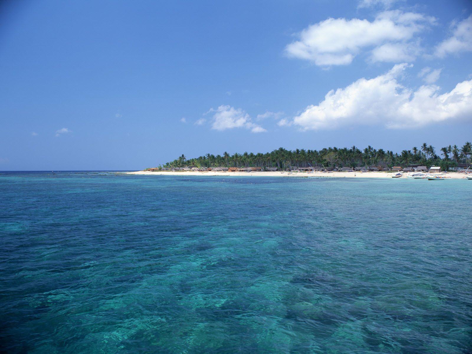 Wallpaper Desktop Free