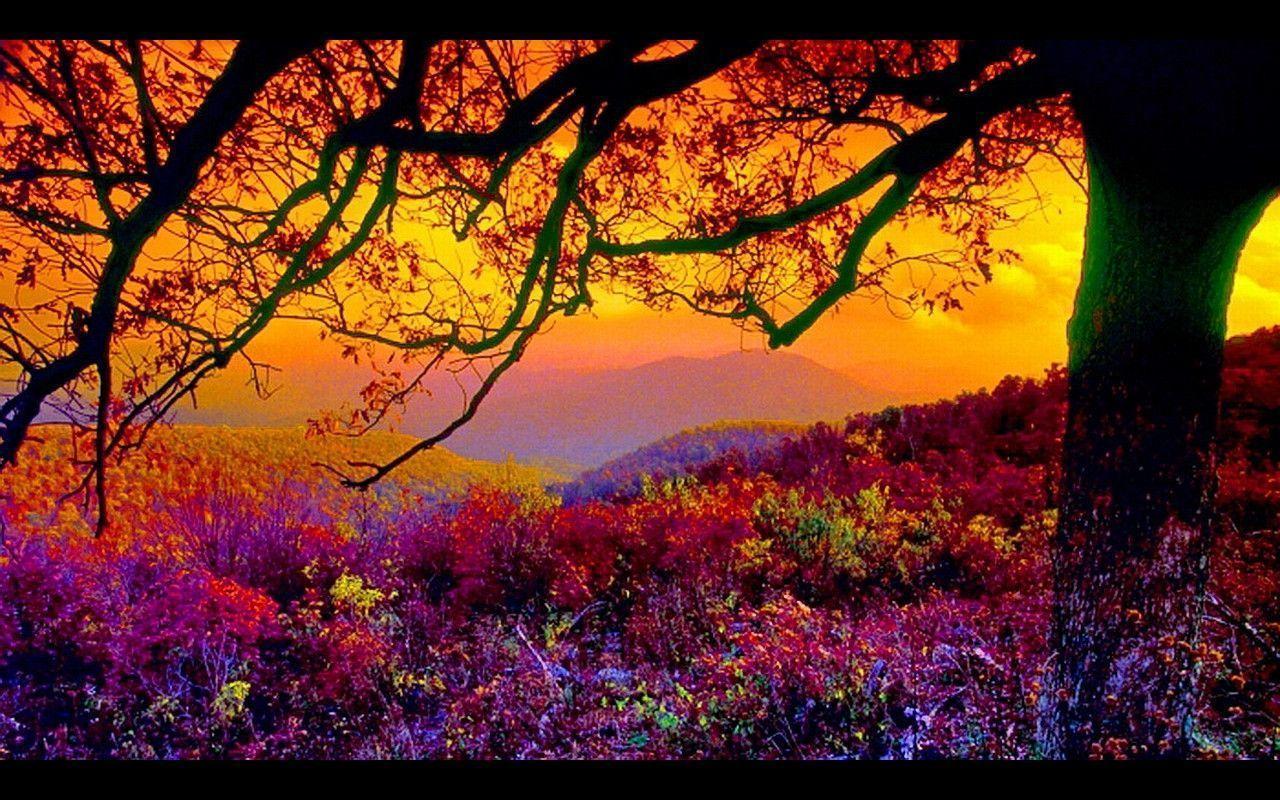 Free Autumn Scenic Wallpaper