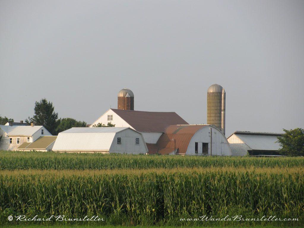 Free Amish Life Desktop Background