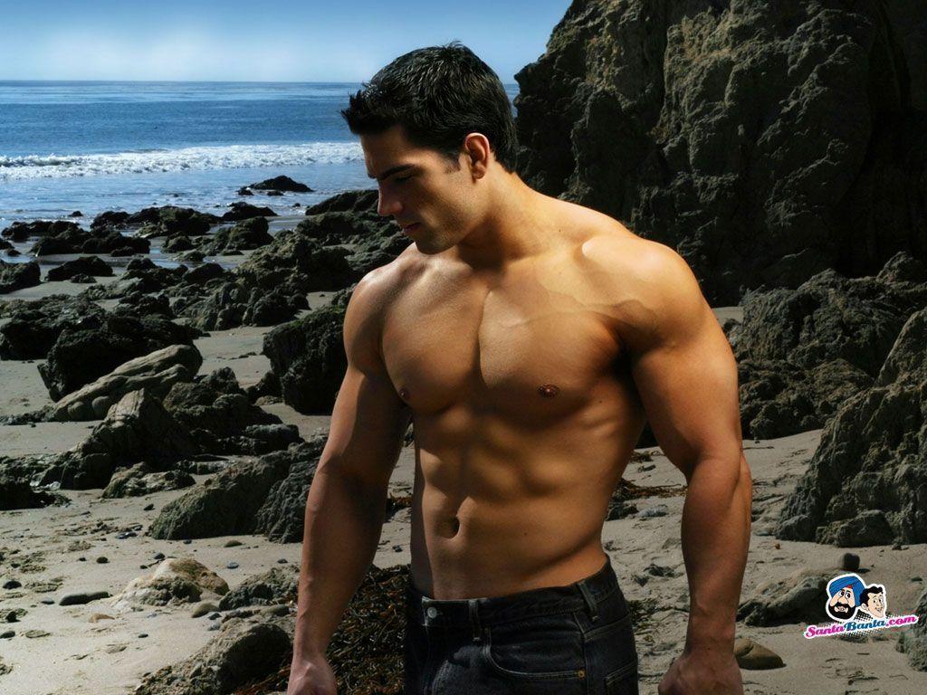 Body Builders HD Wallpaper Wallpaper Inn