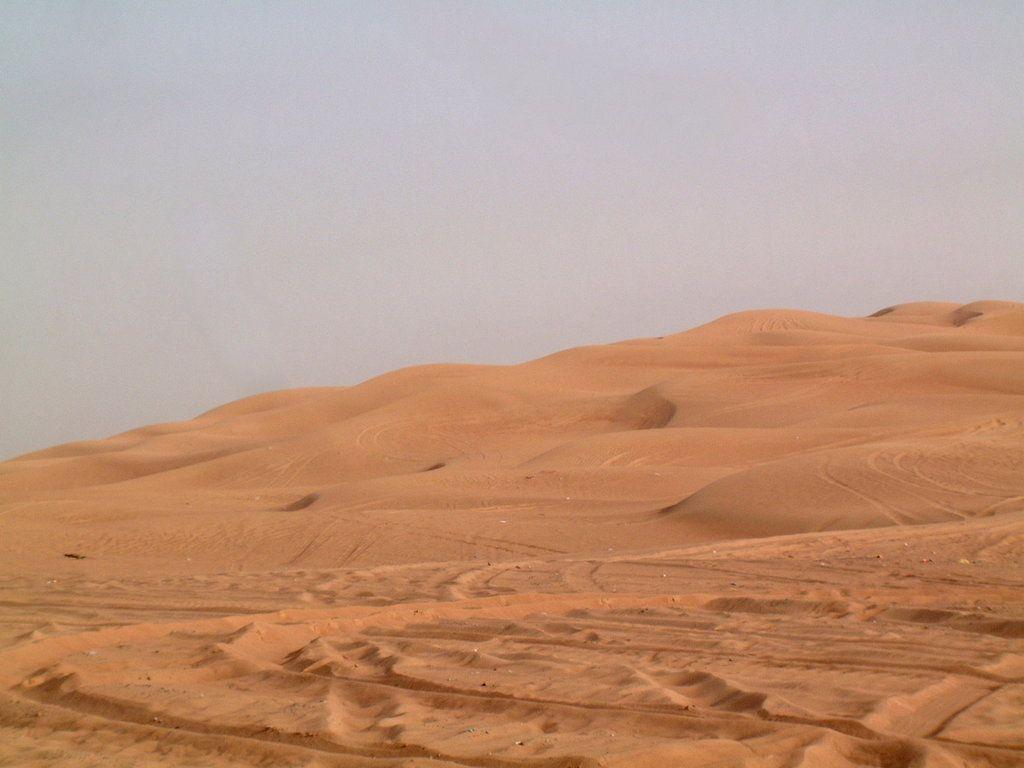 Desert Background By NeverFading Stock