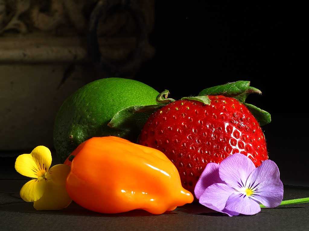 Free Fruit And Flowers Still Life Background. Twitter Background