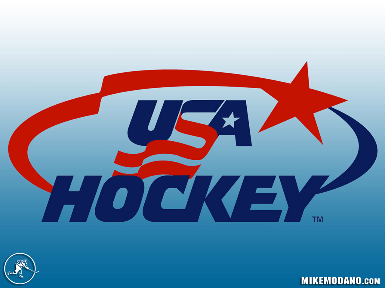 Mike Modano Hockey Wallpaper USA Hockey Wallpaper