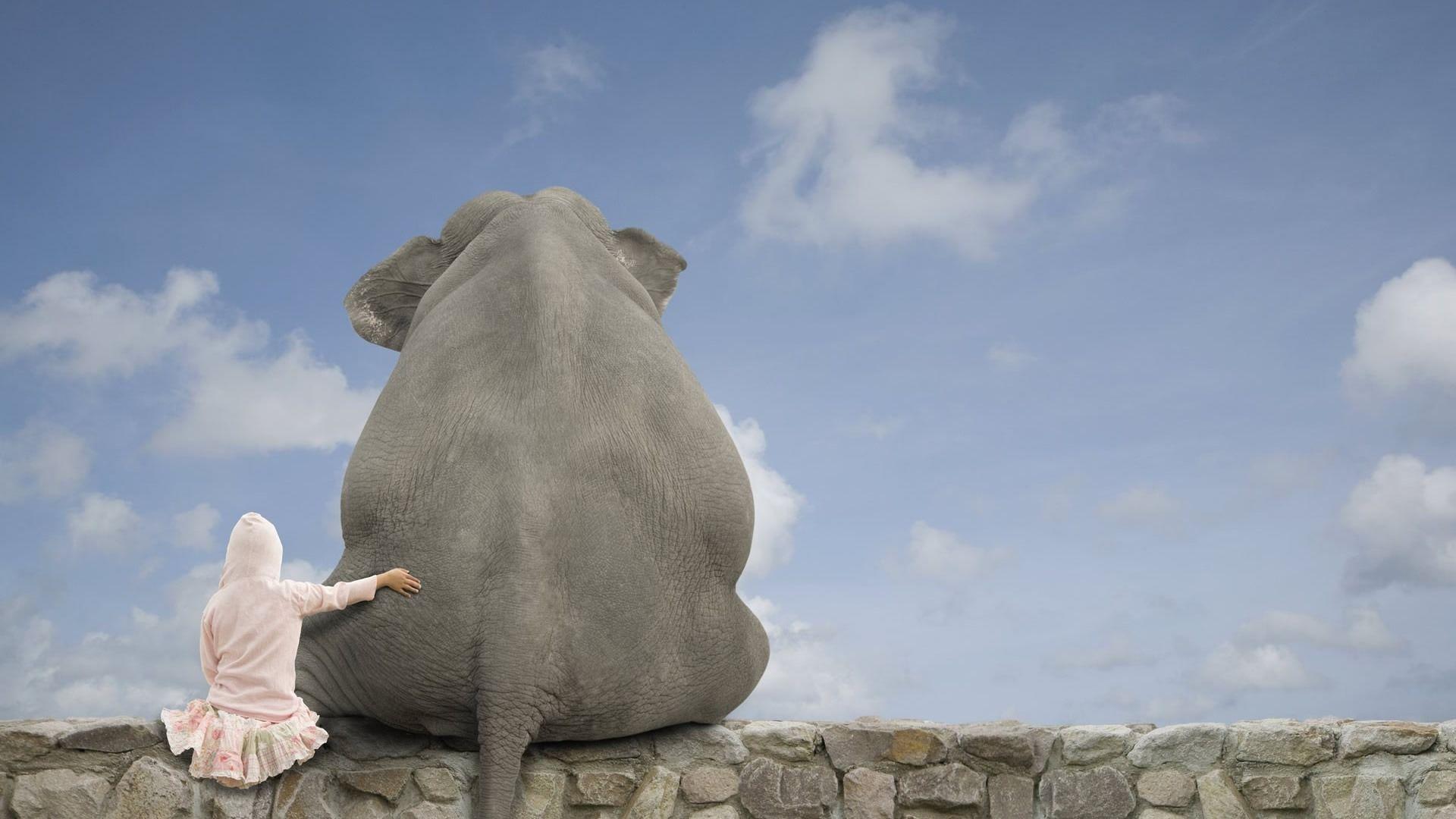 Funny Wallpaper For Facebook Cover 19952 HD Wallpaper in Funny