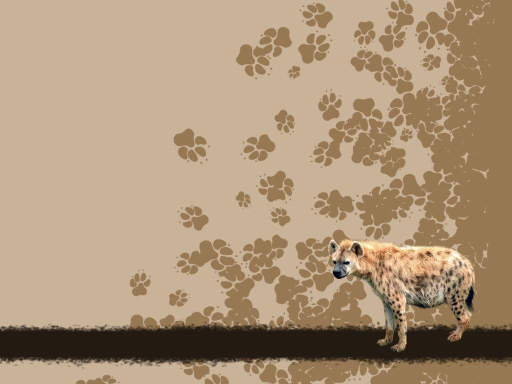 hyena wallpaper