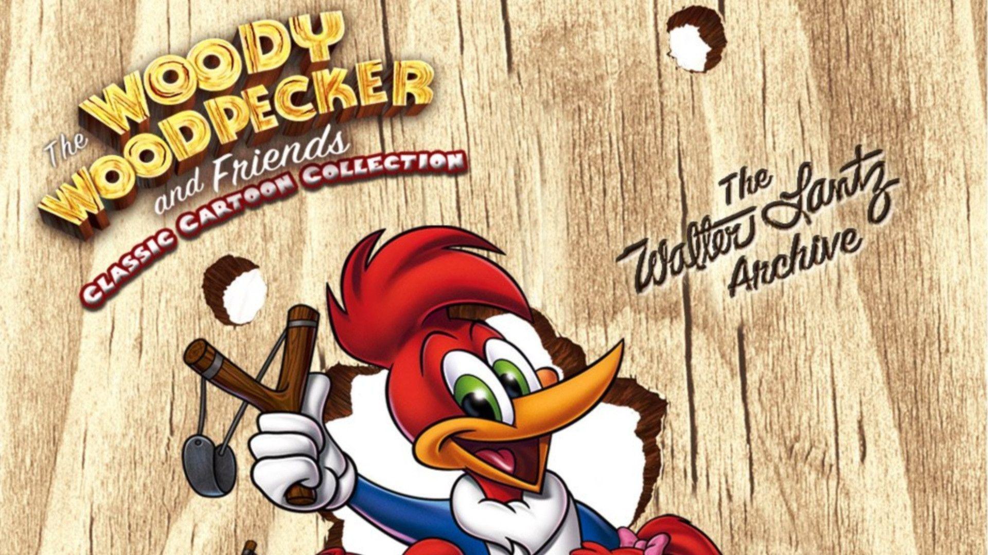 Top Galery Woody Woodpecker Download