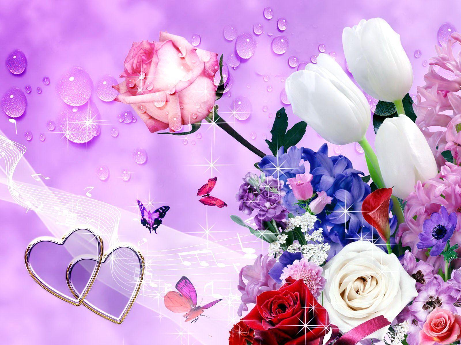 beautiful pink rose wallpaper Search Engine