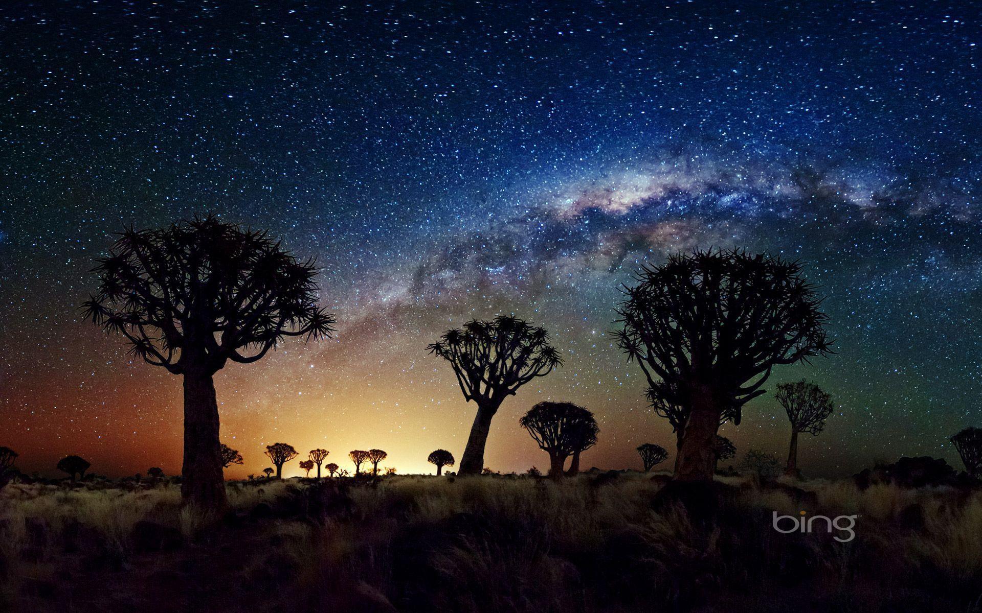 The Milky Way stretches over the Quiver Tree Forest, Namibia. HD