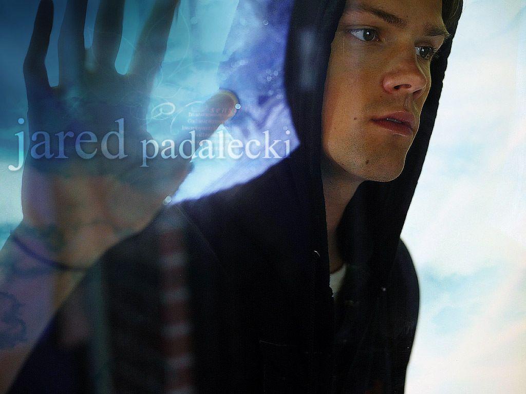 Jared Padalecki Wallpaper