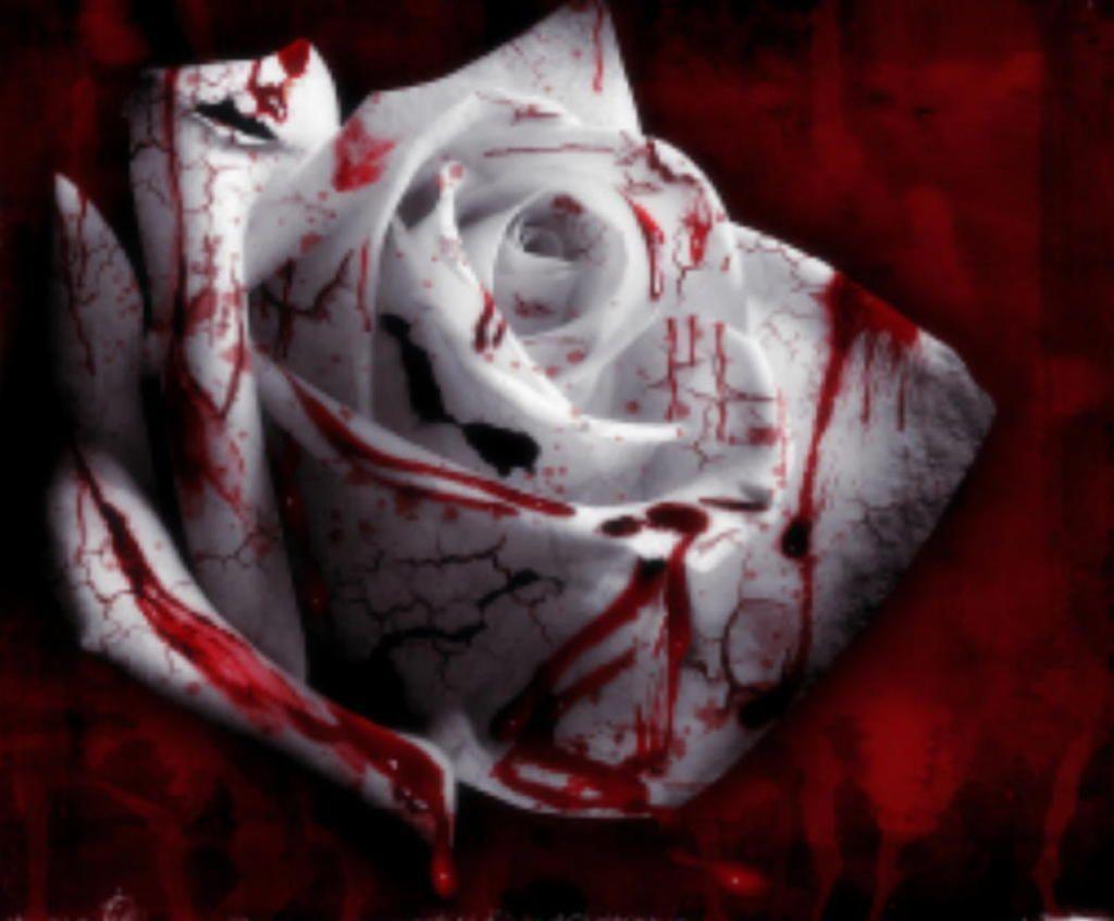 Bloody Rose Wallpaper and Picture Items