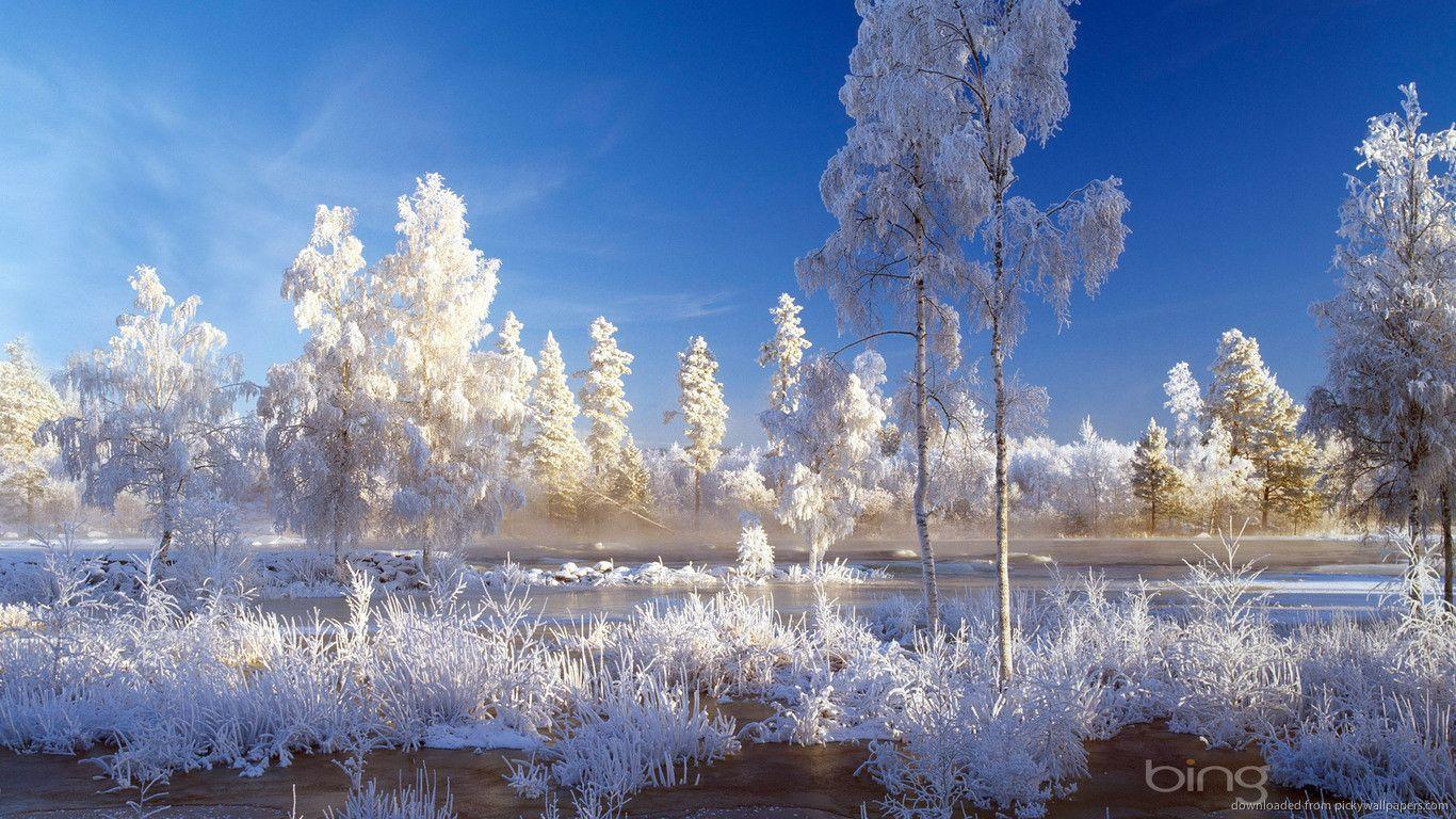 Download 1366x768 Bing Winter Landscape Wallpaper