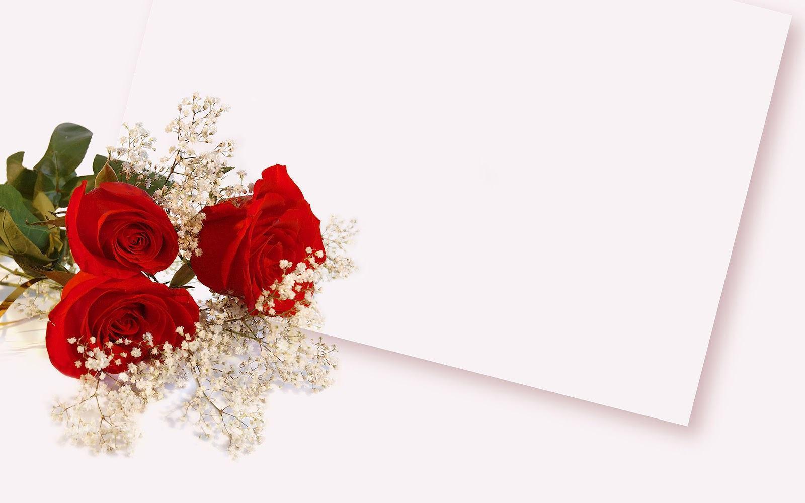 White pc background bouquet red roses flowers HD Wallpaper & Bac