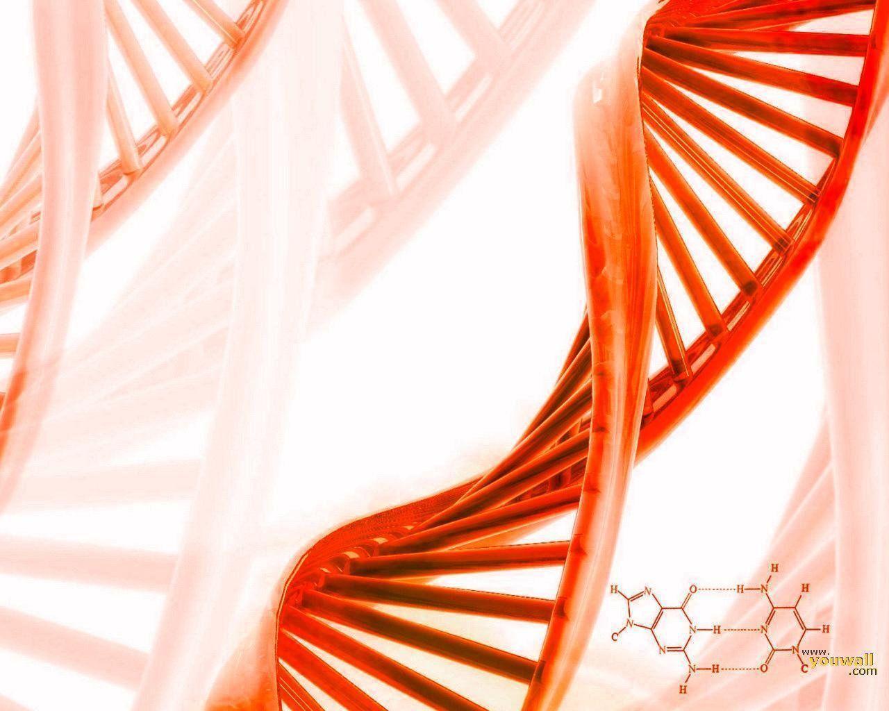 image For > Science Background Dna