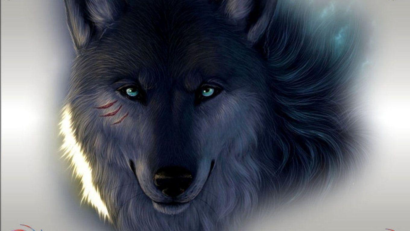 Black Wolf Wallpapers 11219 Hd Wallpapers in Animals