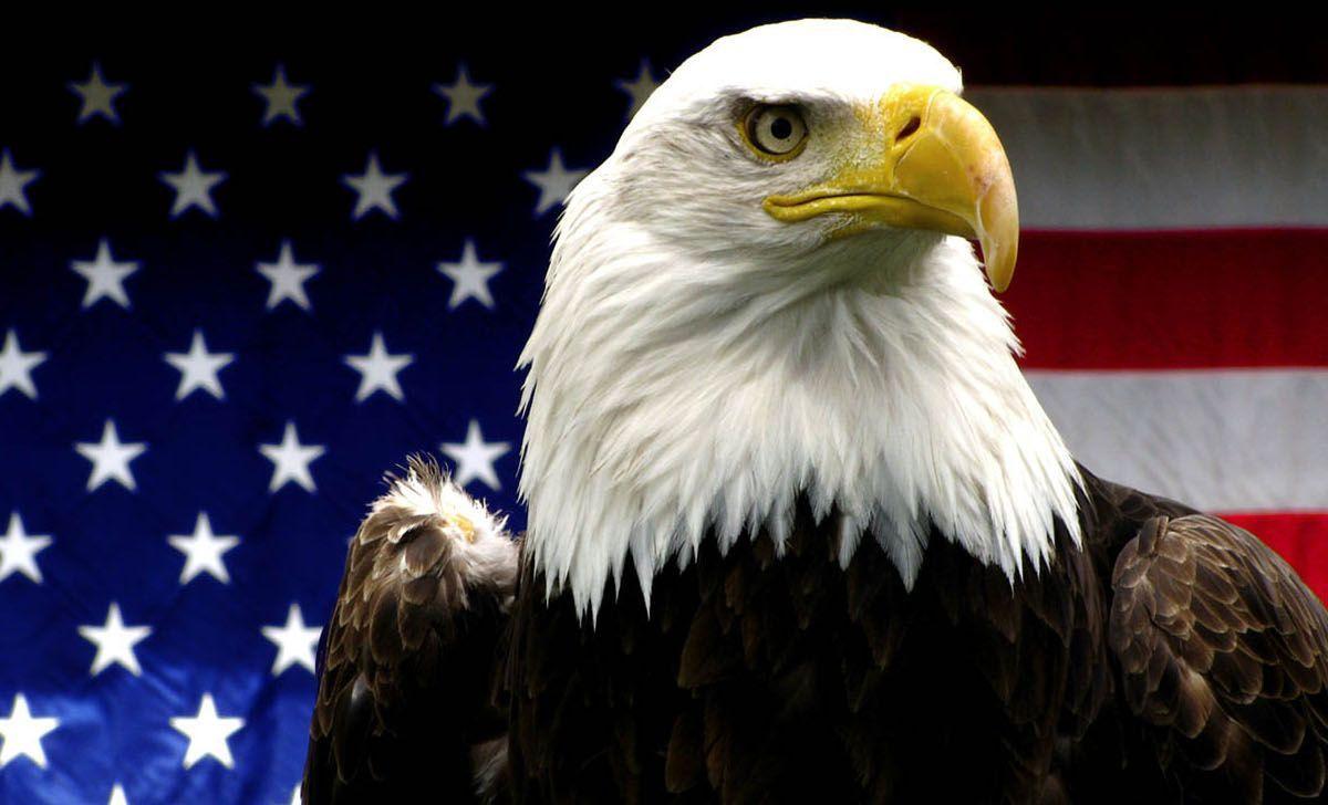 Pix For > American Flag Tumblr Eagle