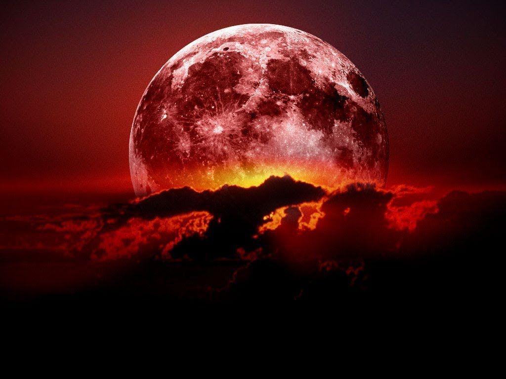 Red Moon HD wallpaper