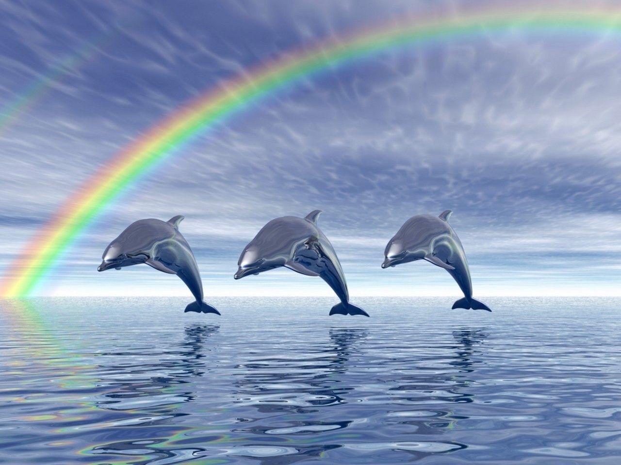 Dolphin Under Rainbow Wallpaper HD. Download Background Wallpaper