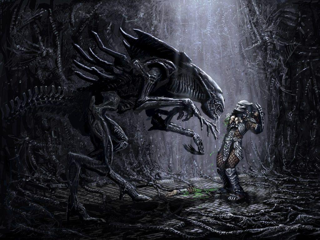 Download A Face-Off in Space: Alien Vs Predator Wallpaper