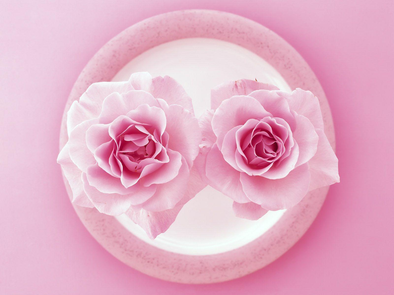 Wallpaper For > 3D Pink Rose Wallpaper