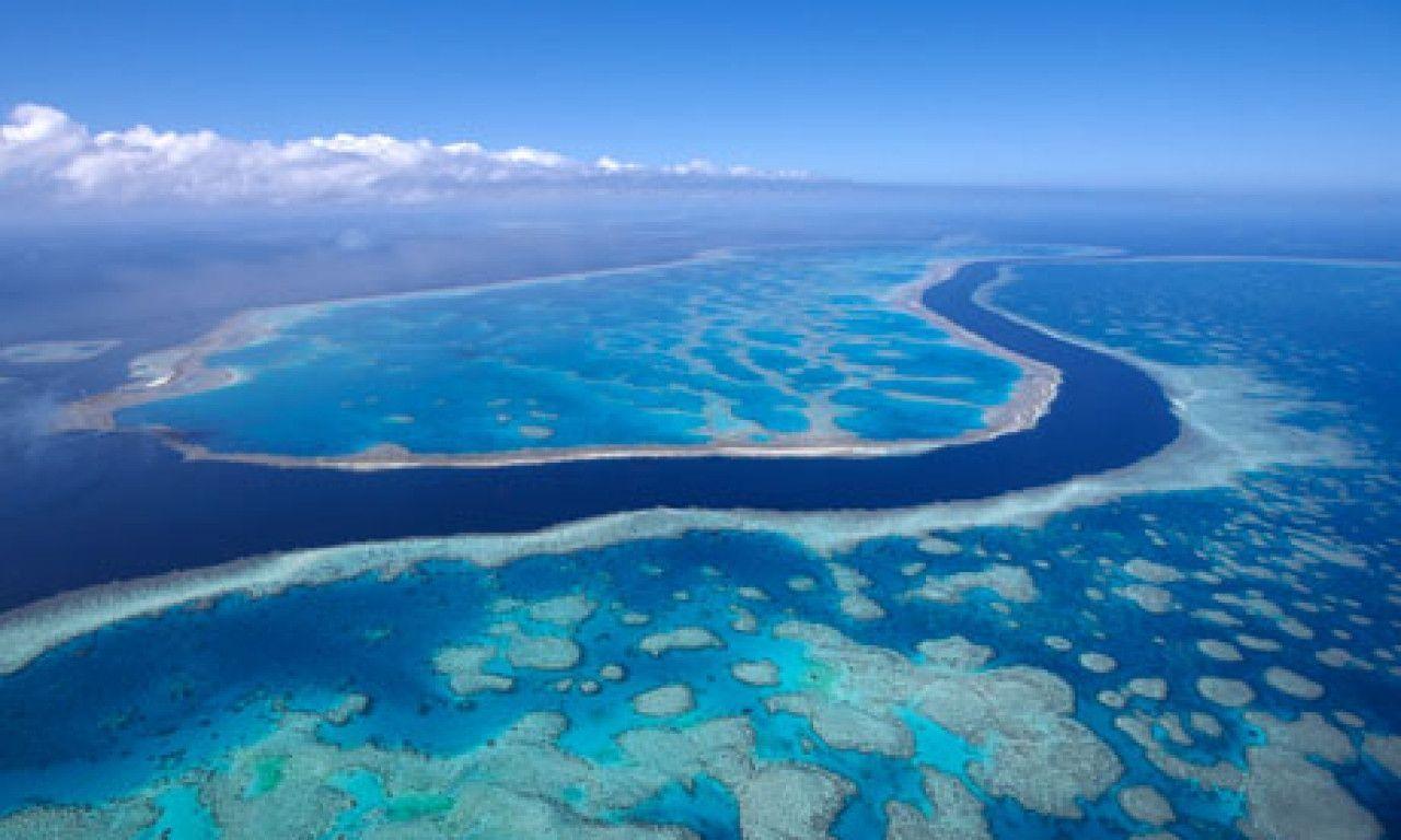 Great Barrier Reef Wallpaper HD Wallpaper