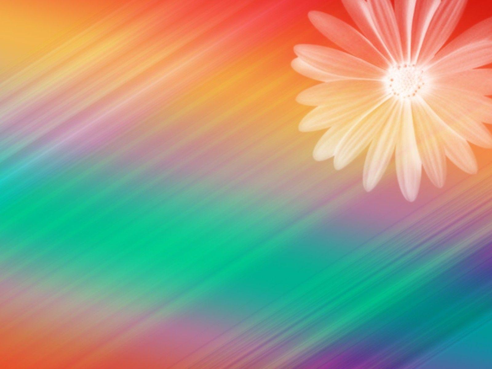 Pretty Background Flowers « Desktop Background Wallpaper HD