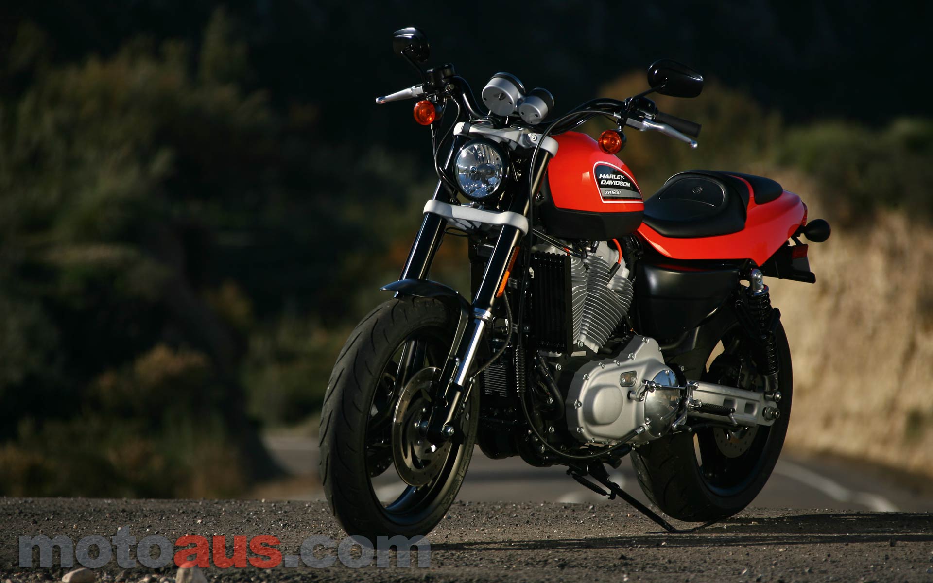 Harley Davidson Wallpaper Widescreen