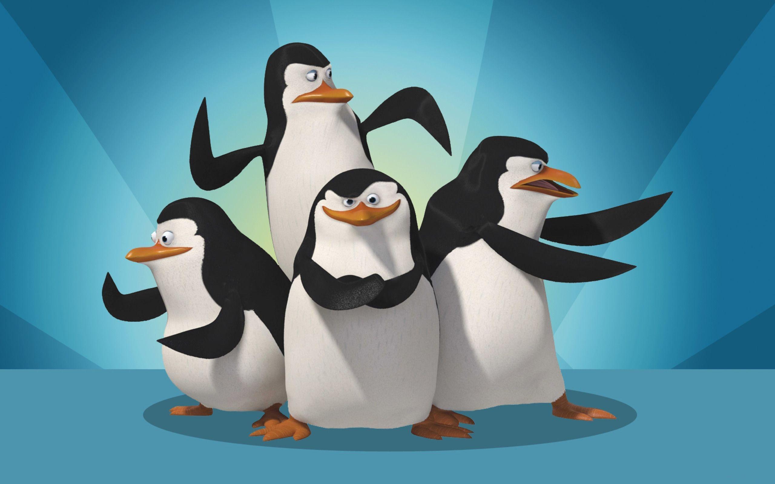 Penguins of madagascar wallpapers