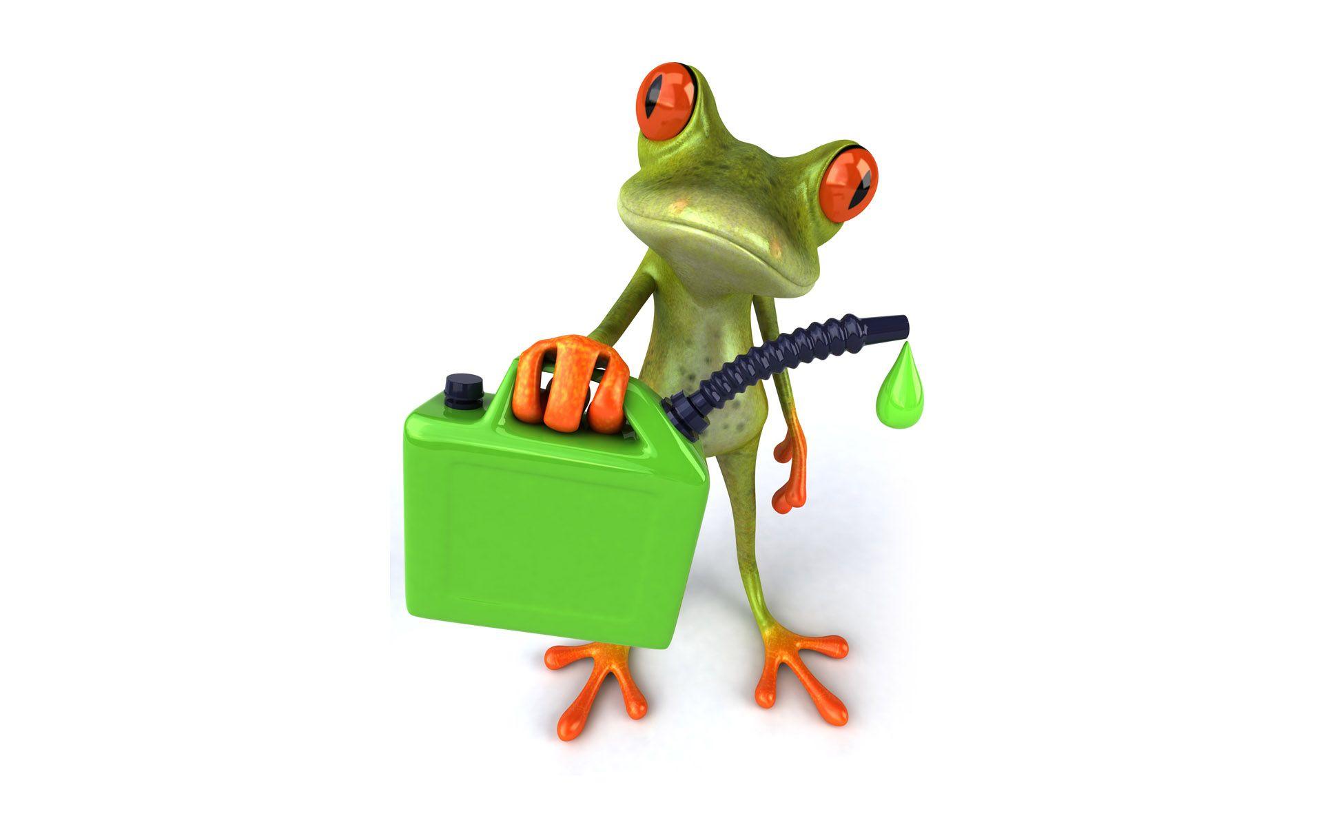 Funny Frog Wallpaper Android Mac 1920x1200PX Wallpaper Frog