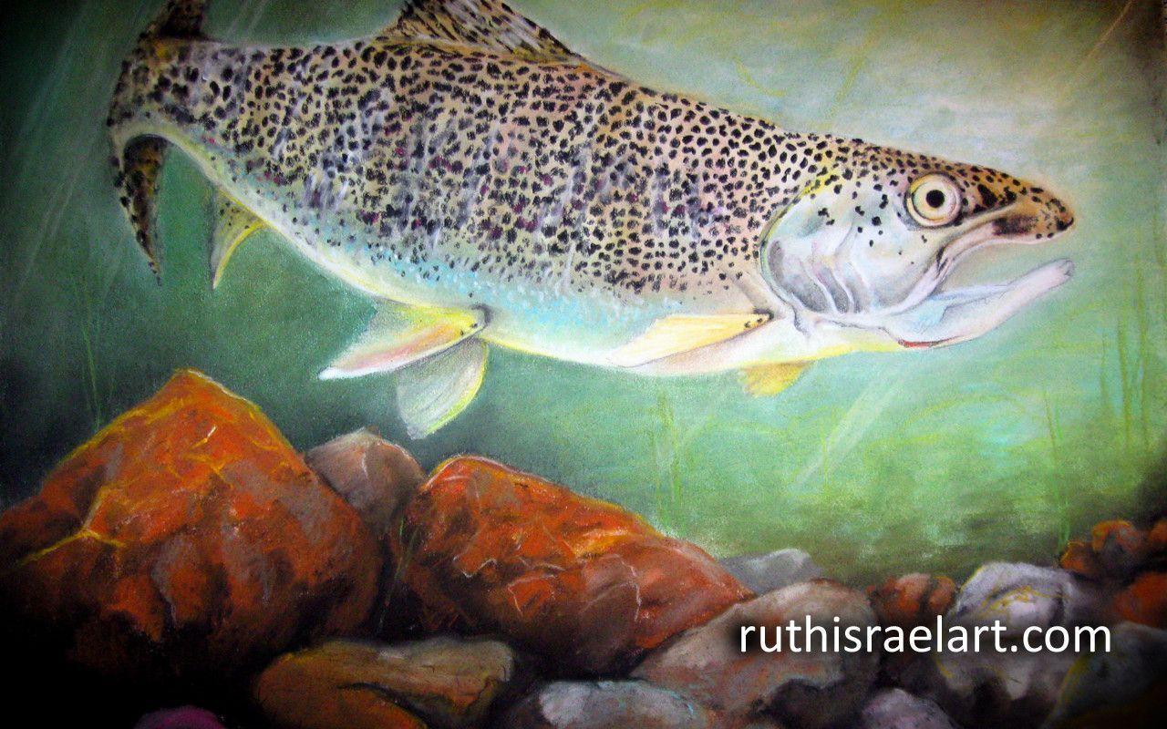 Rainbow Trout Free Wallpaper Ruth Israel. Ruth Israel Art +