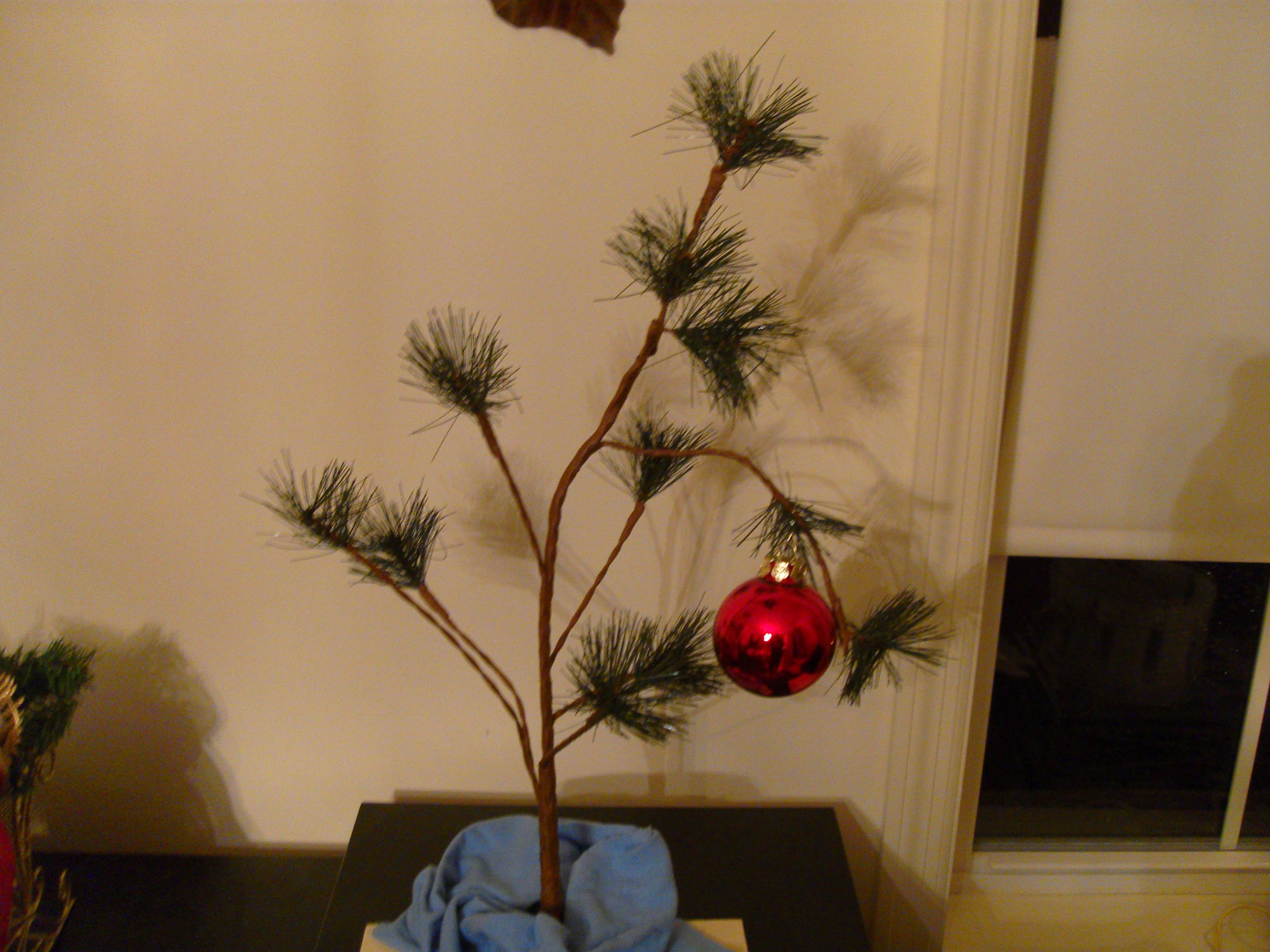 Xmas Stuff For > Real Charlie Brown Christmas Tree