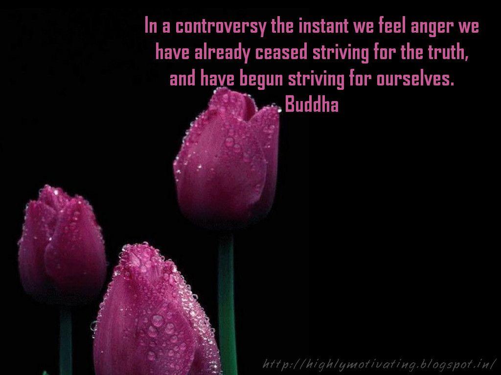 Inspiration and Motivation: Buddha Quote Wallpaper