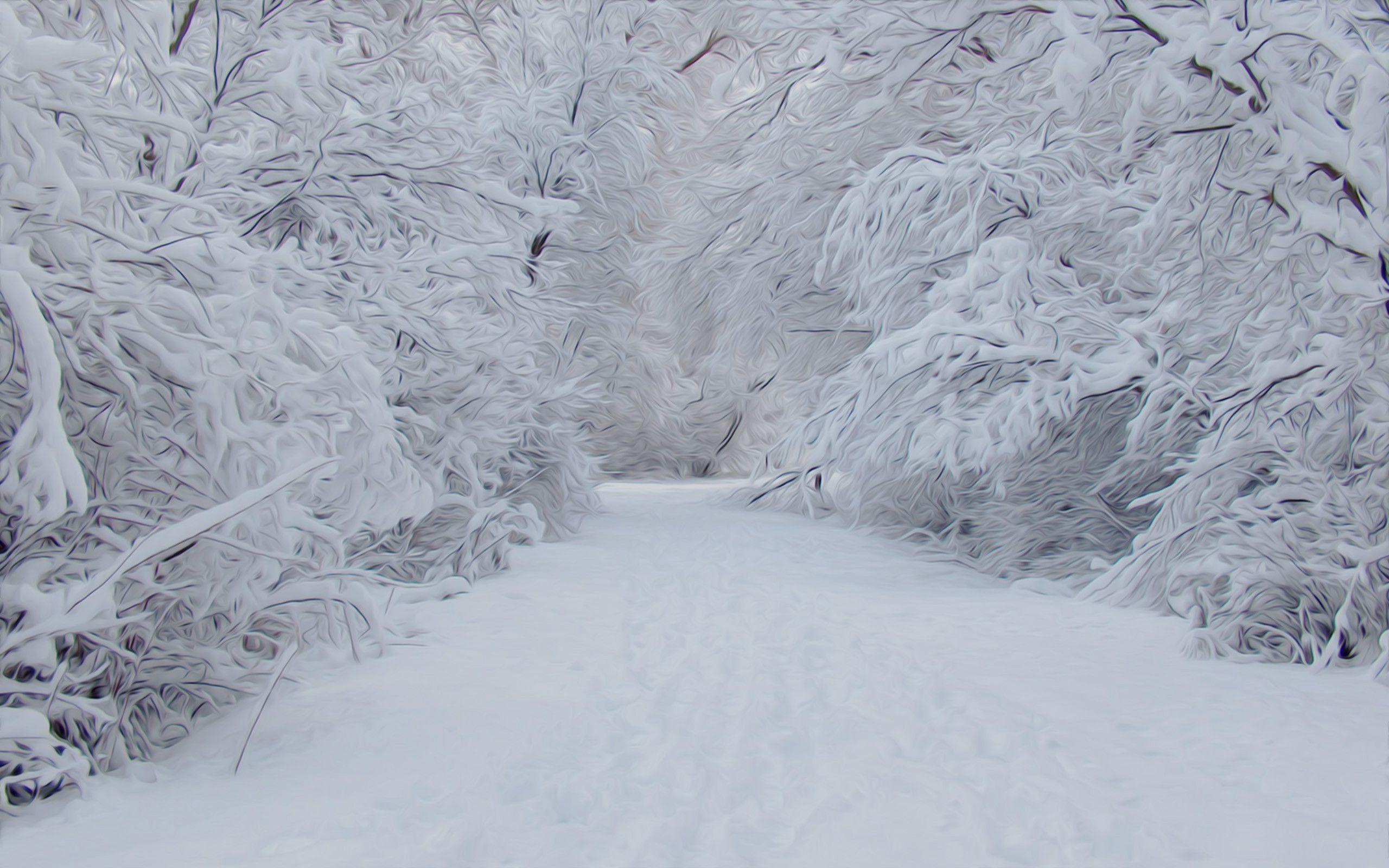 Winter image snowy snow HD wallpaper and background photo