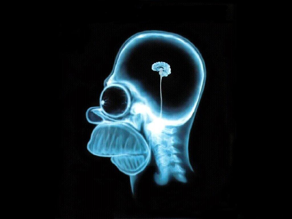 Funny Background Wallpaper HD Image 1942