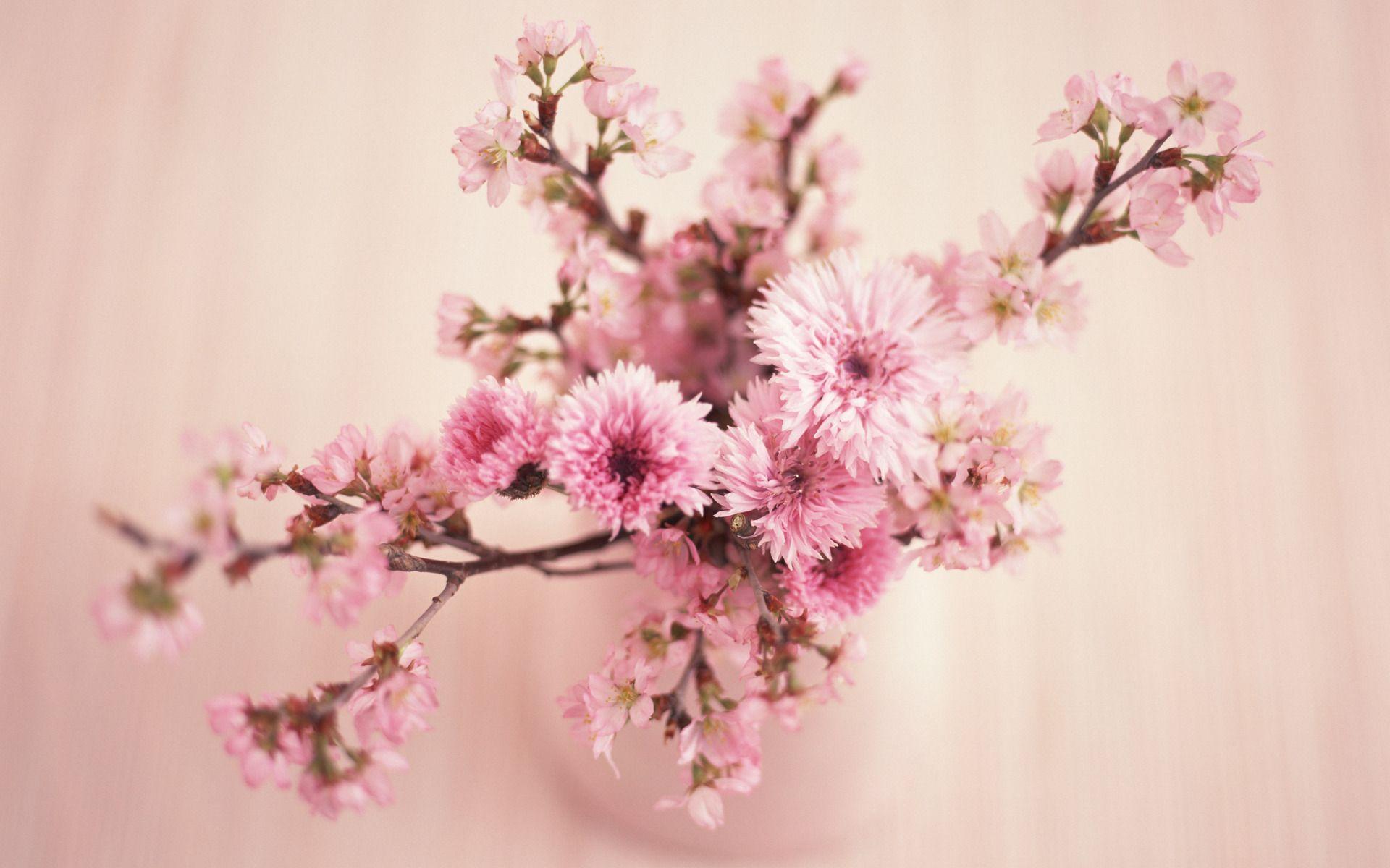 Wallpapers For > Pink Vintage Flowers Wallpapers