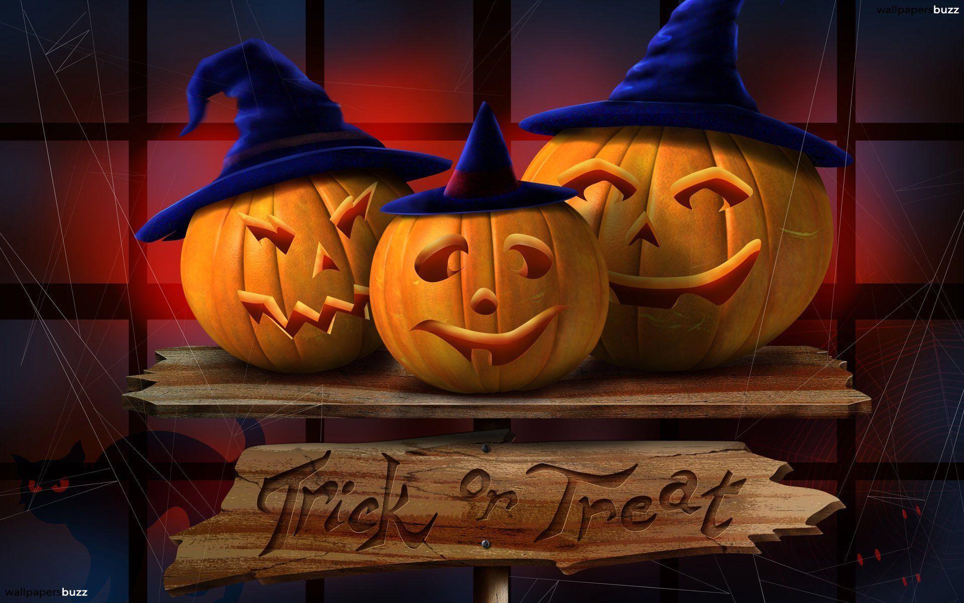 Three pumpkins in blue hats HD Wallpaper