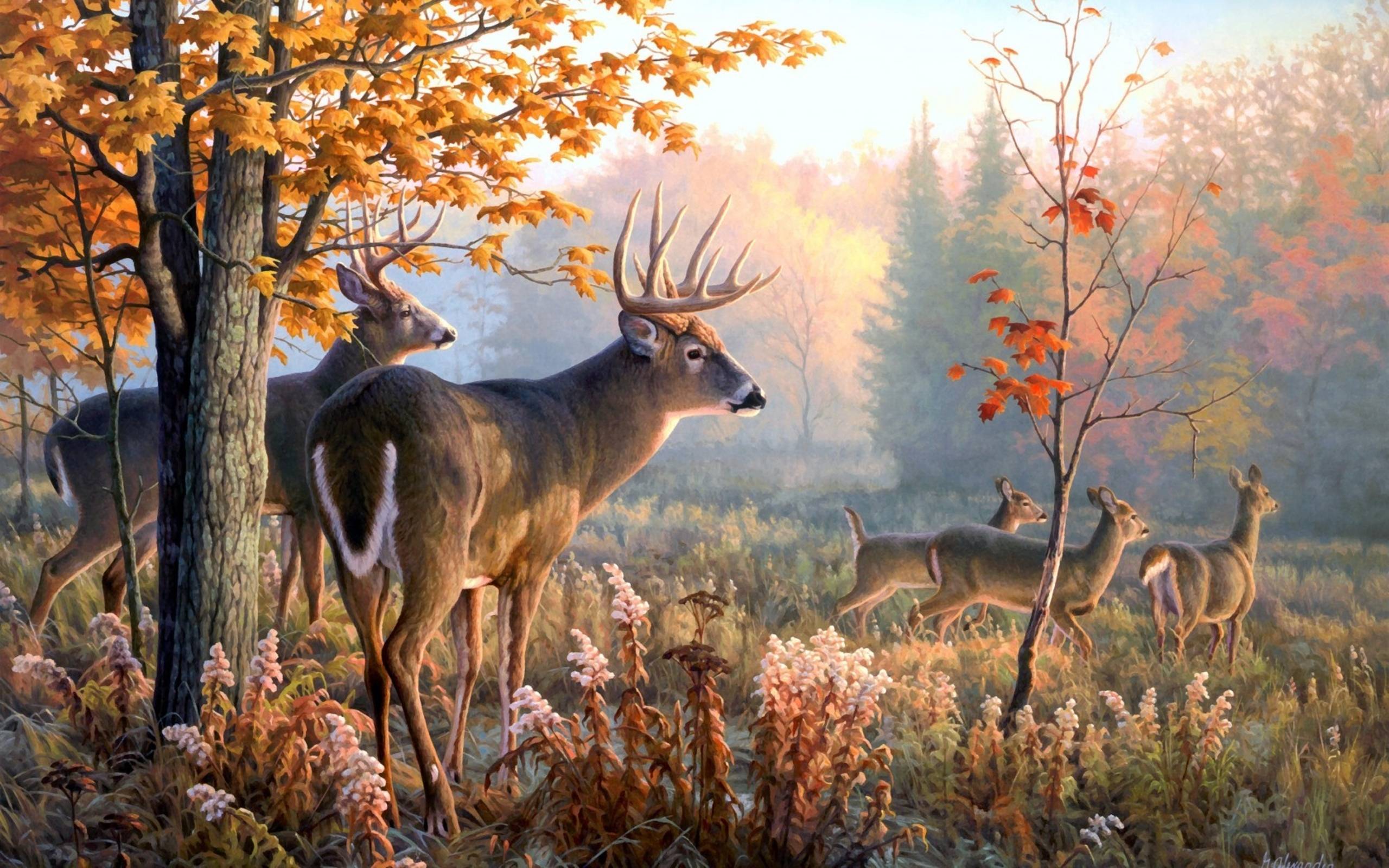 Deer Art Wallpaper, wallpaper, Deer Art Wallpaper HD wallpaper