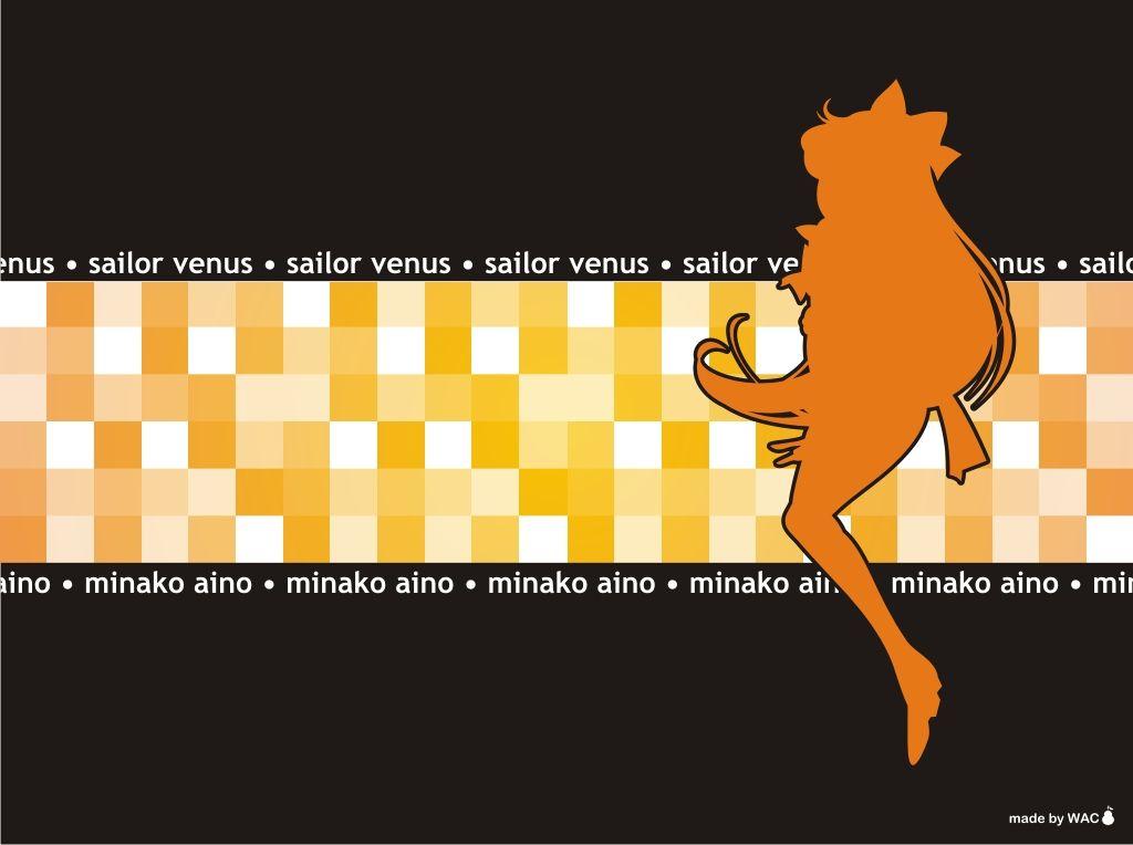 More Like Sailor Jupiter Wallpaper