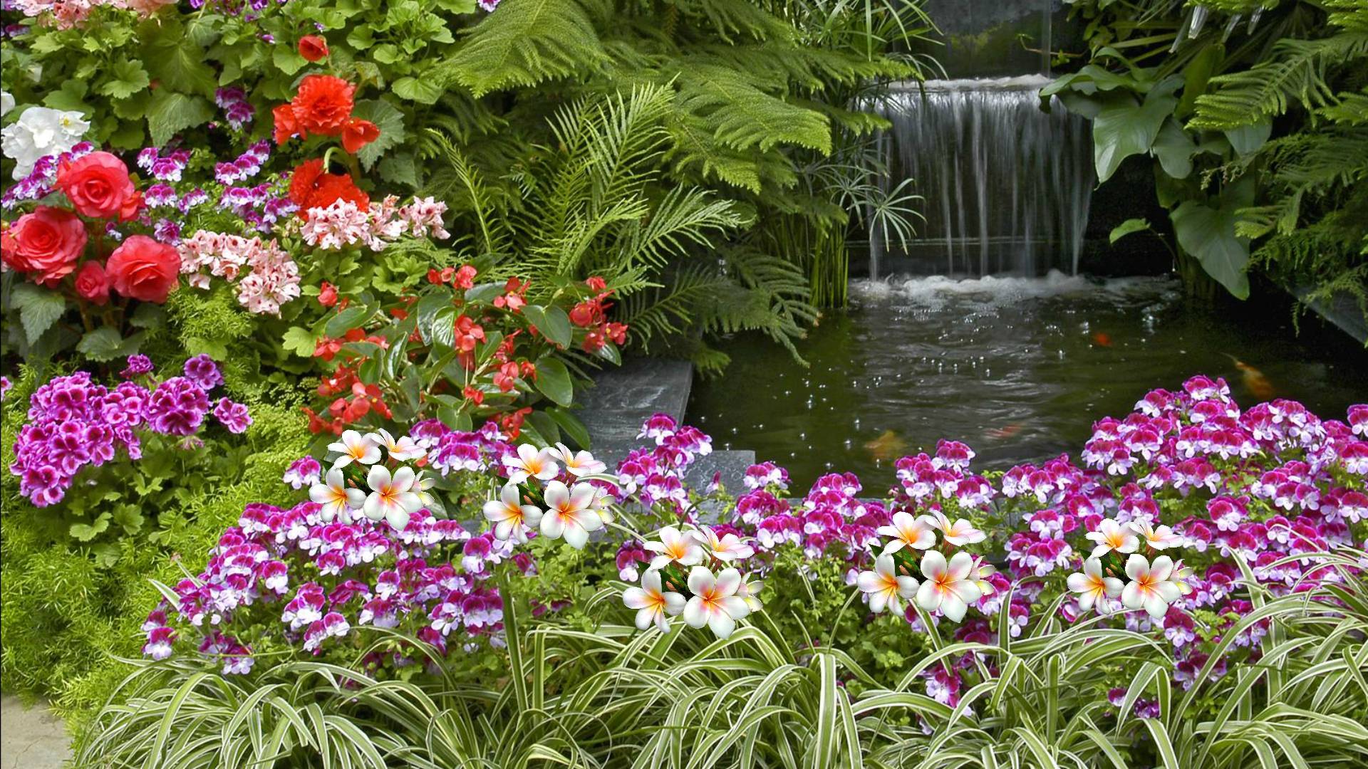 image For > Flower Garden Wallpaper HD Desktop