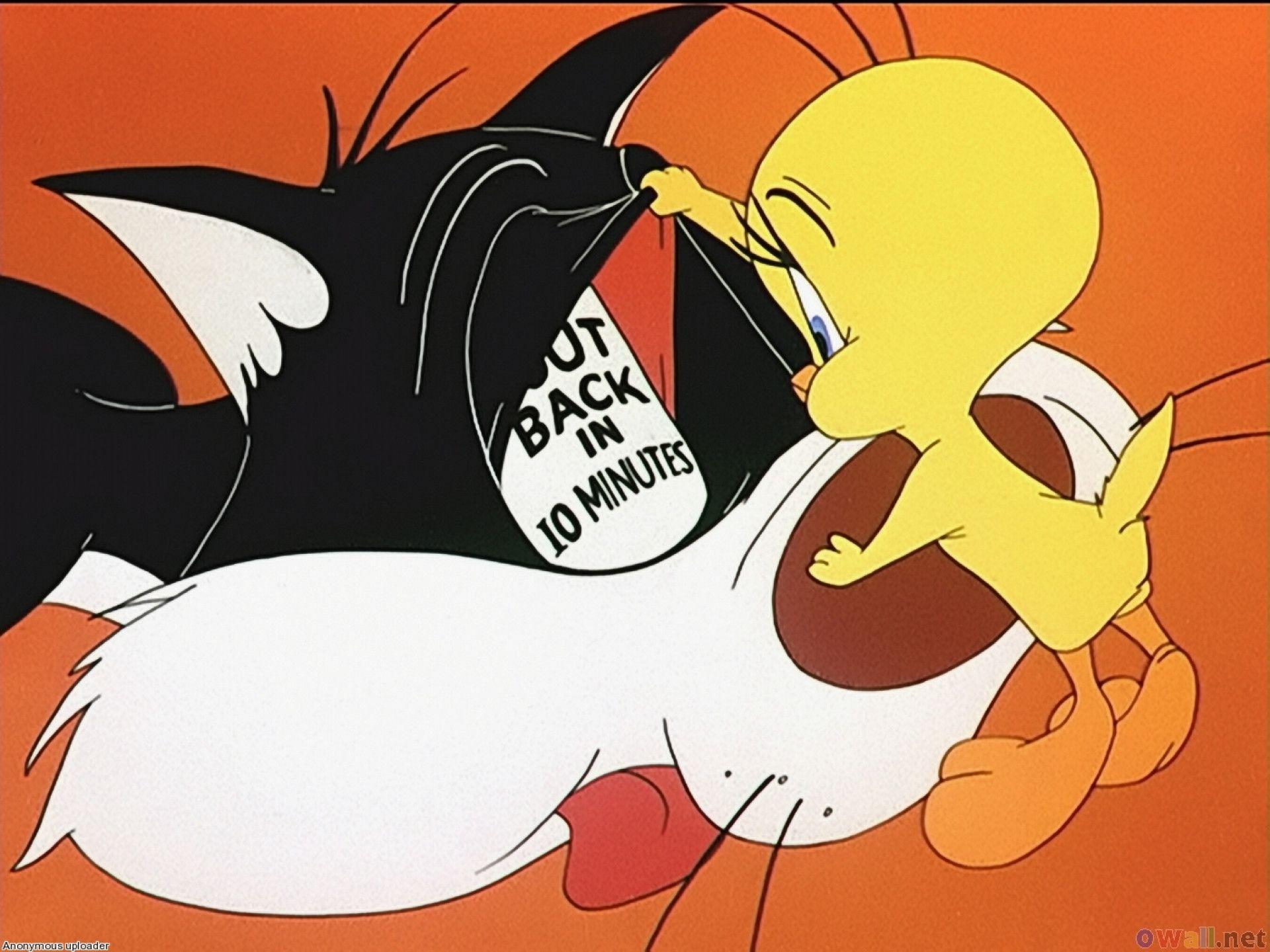 Pix For > Sylvester The Cat Cartoon
