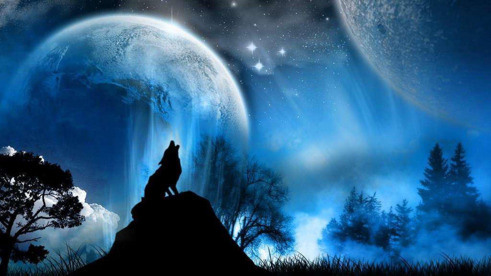 Blue Wolf Background