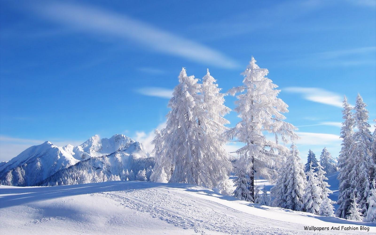 Wallpaper For > Winter Scenery Background