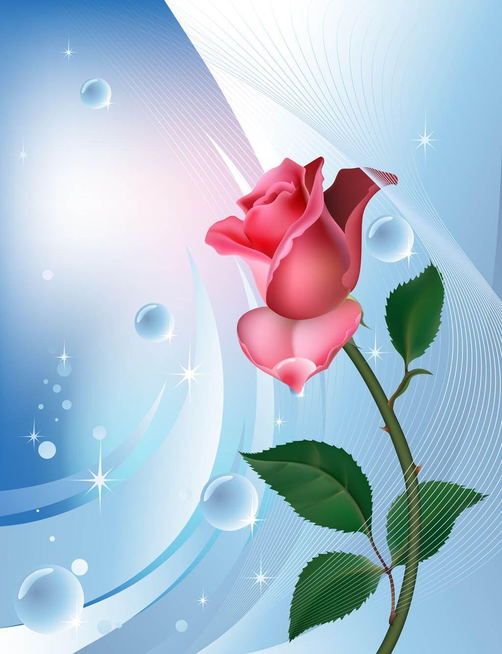 Rose Background