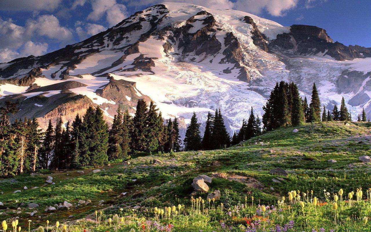 High Snow Mountain Scenery Background