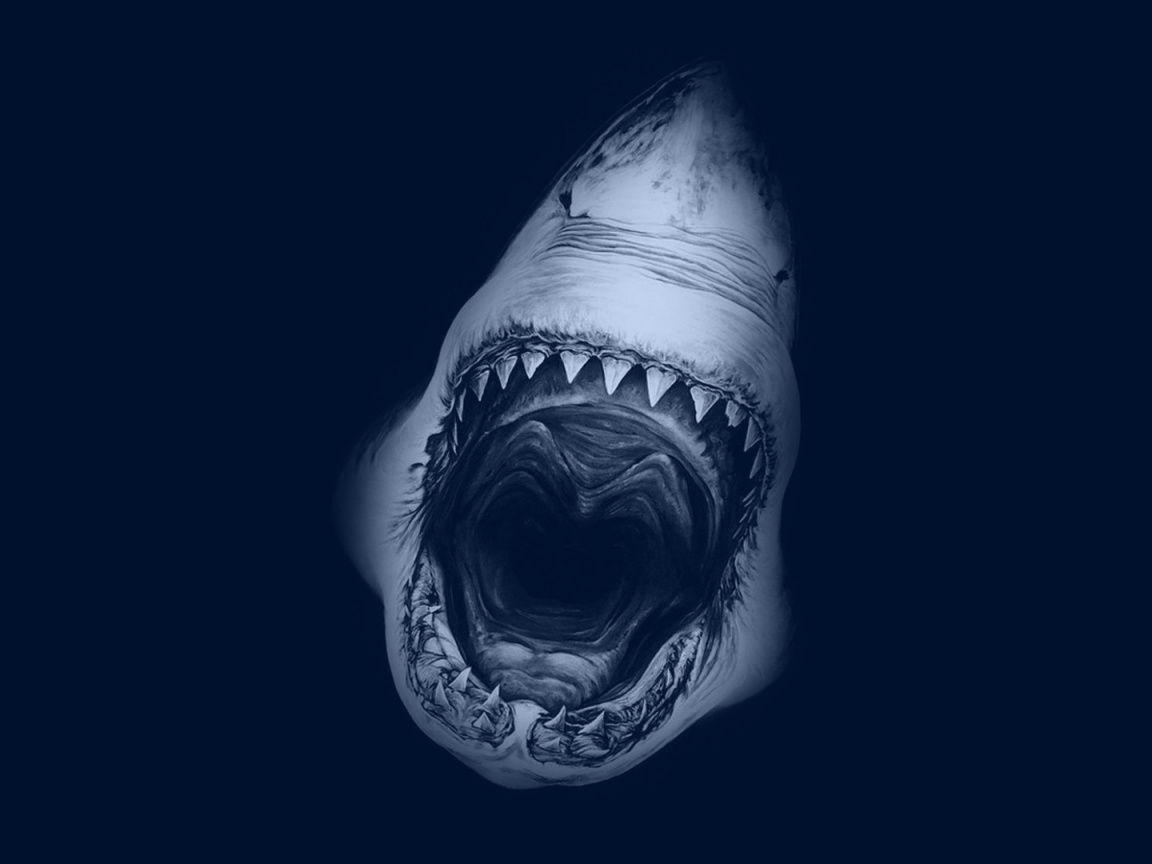 Download Great White Shark Cartelthemes Wallpaper 1152x864. Full