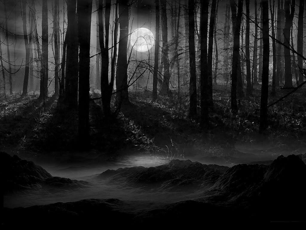 Dark Forest Background With Moon Image & Picture
