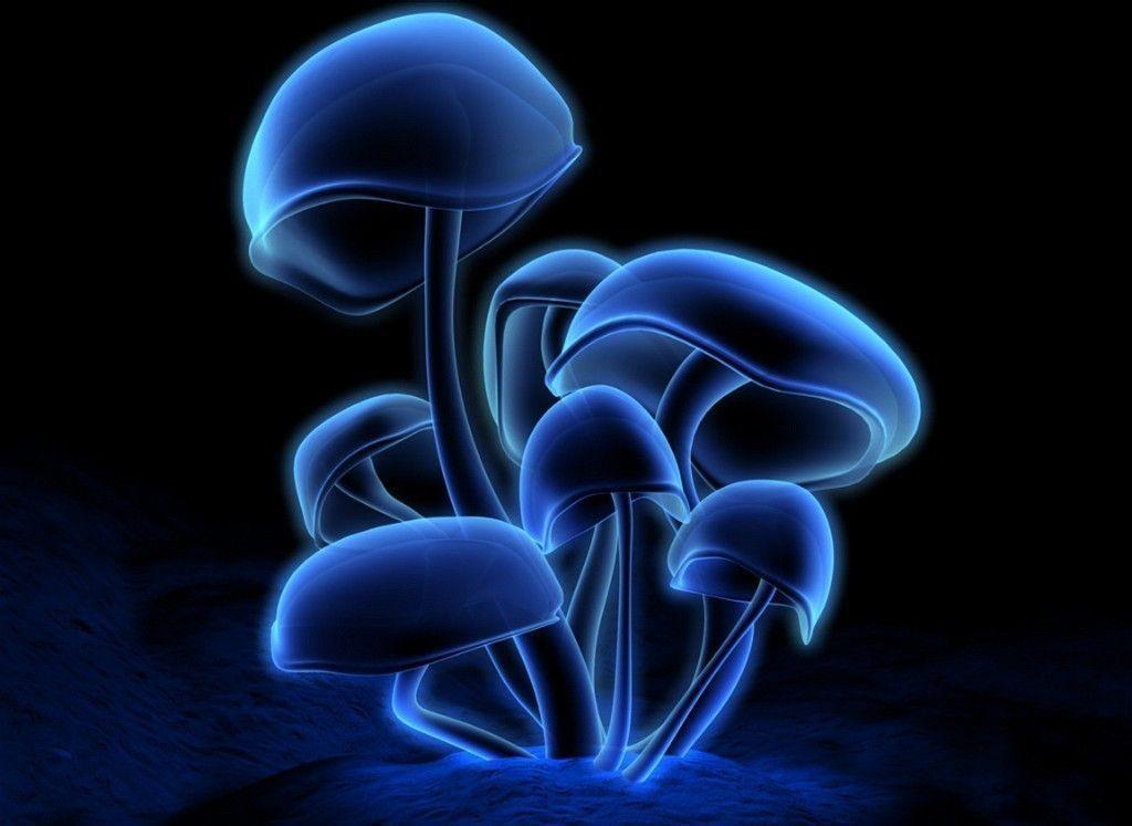 Best 3D Wallpaper In HD Quality