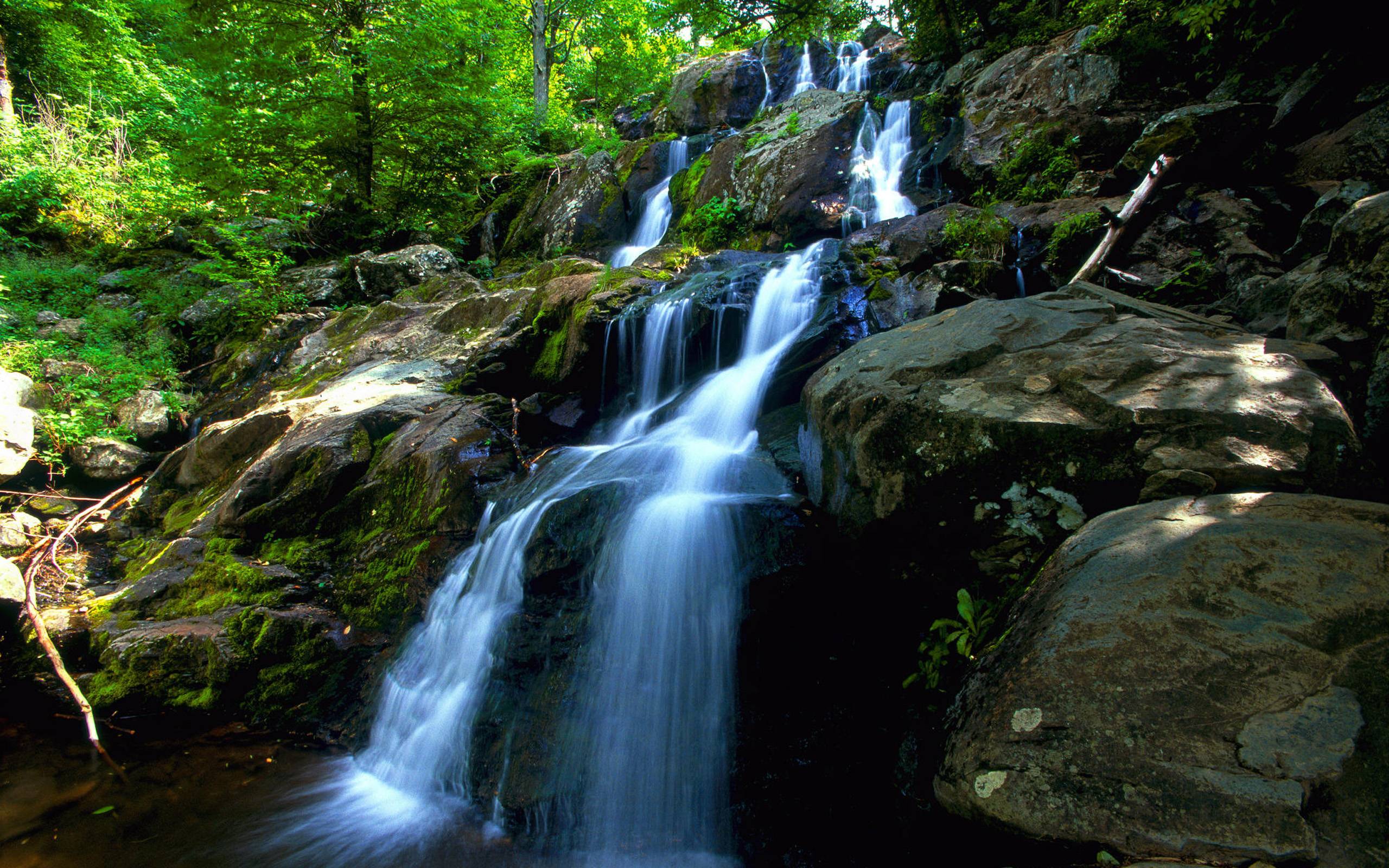 Pin Waterfall Water Forest Stream Nature Green Rocks HD Wallpaper