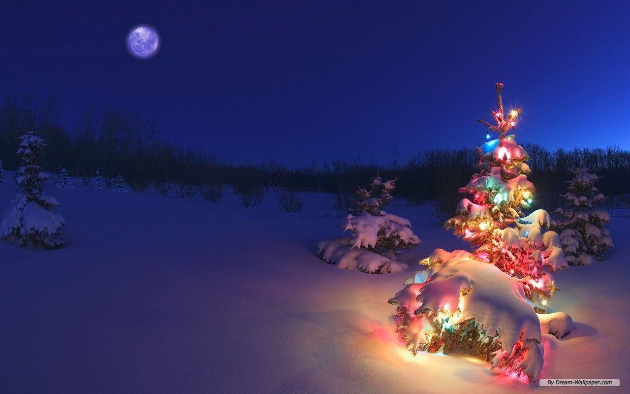 Download Free Holiday Christmas Lights Wallpaper HD 1280x800PX