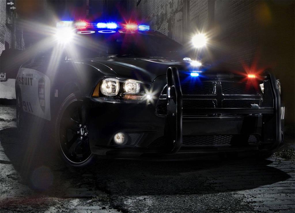 Police Photos Download The BEST Free Police Stock Photos  HD Images